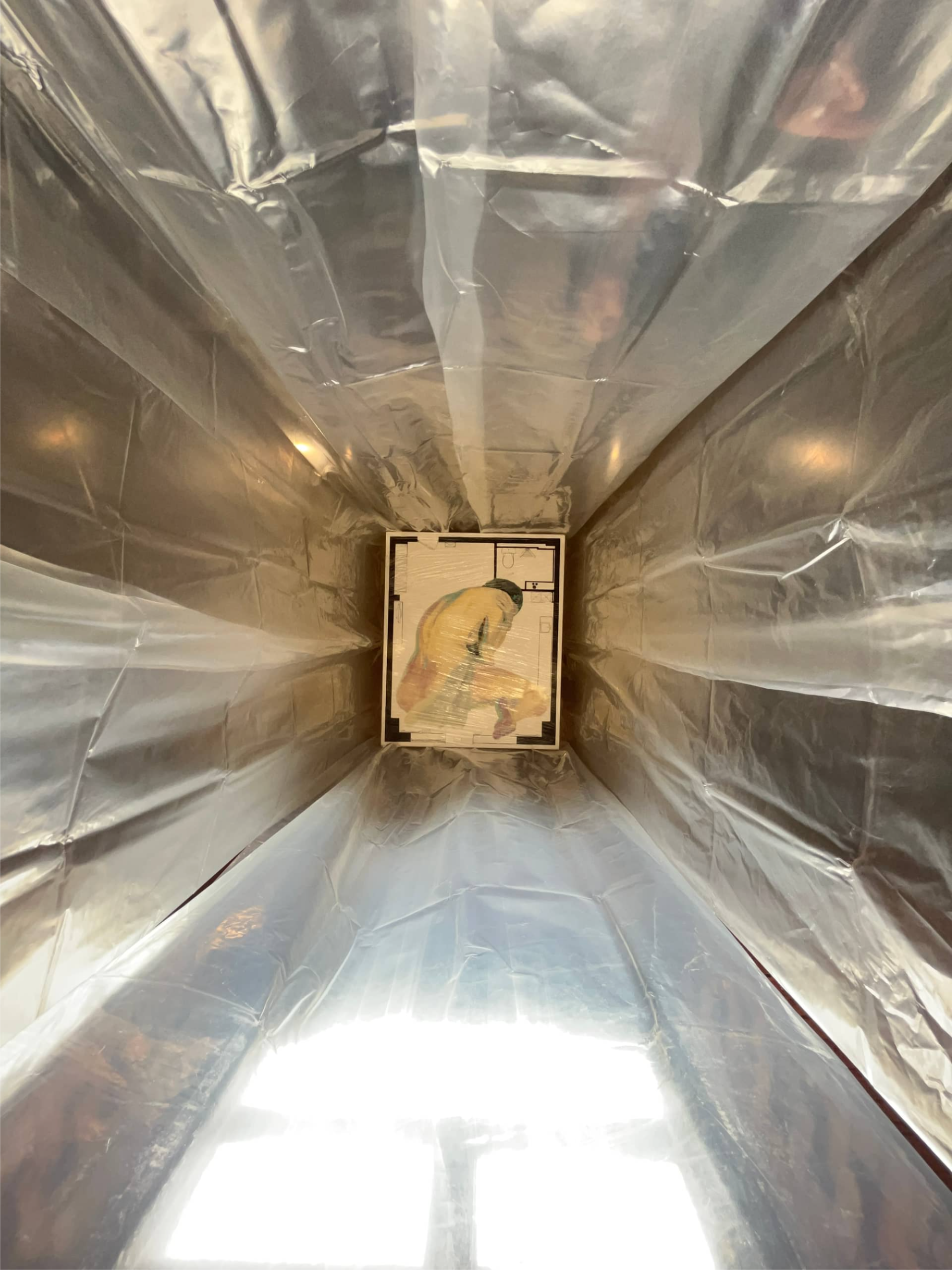 В коробке жизни